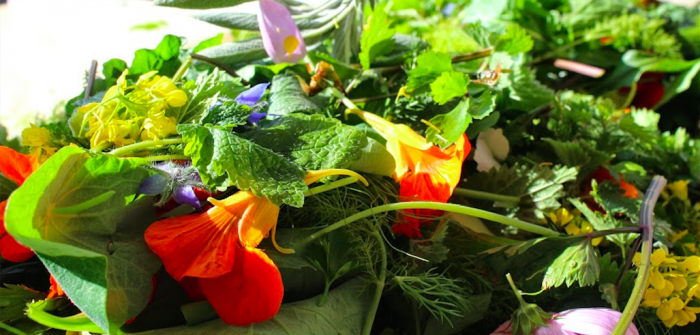 Week-end Nature Gourmande