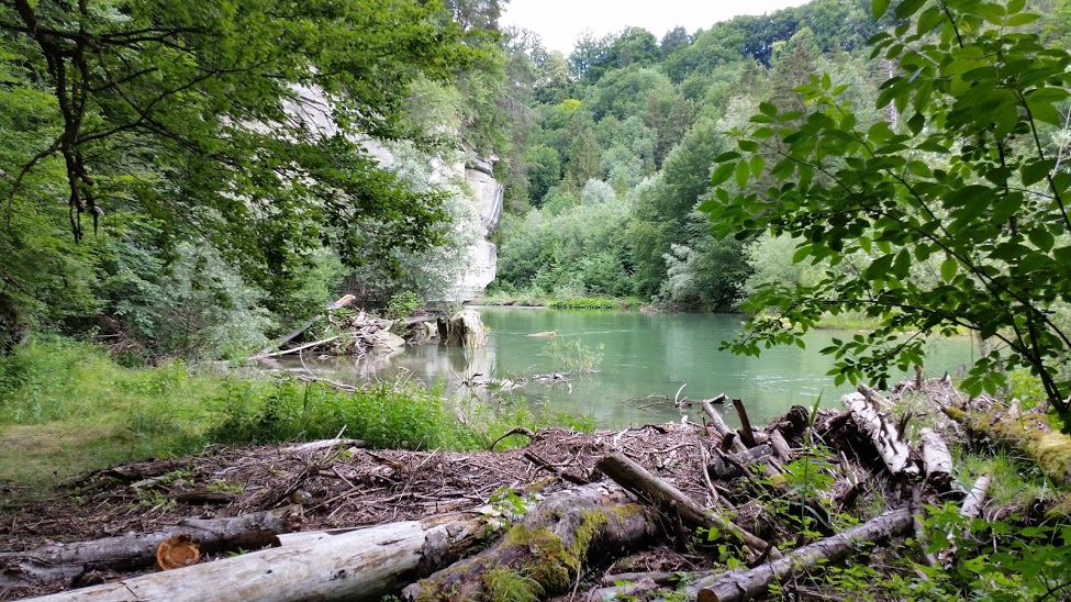 Week-end de connexion sauvage