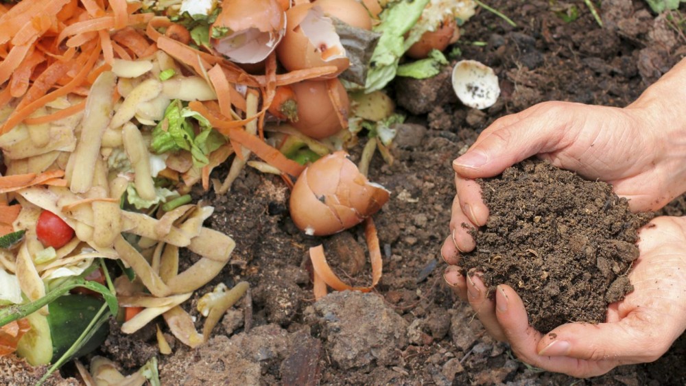 J’apprends à faire mon compost (COMPLET)