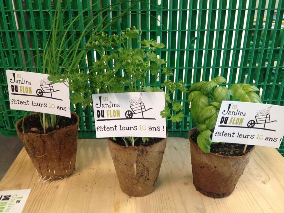 Les Jardins du Flon fêtent leurs 10 ans