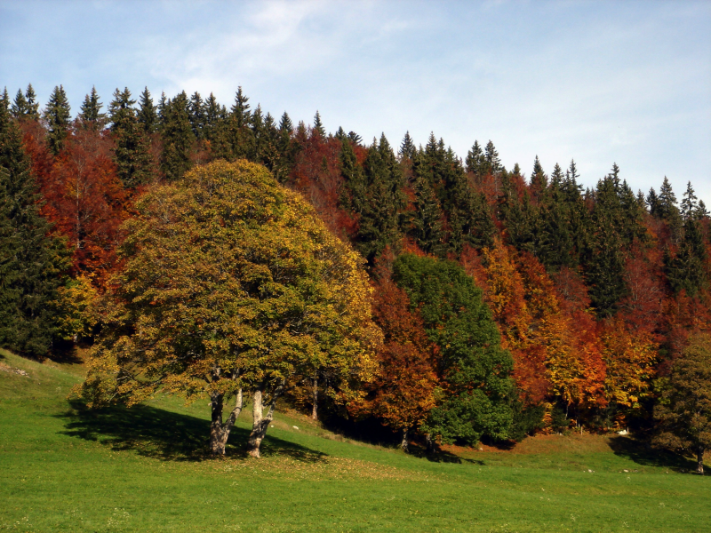 Horaires de vacances
