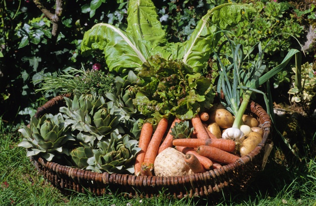 Sortir la tête du panier – Conférence et vernissage