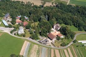 Centre aéré à la ferme bio de Bois-Genoud à Crissier