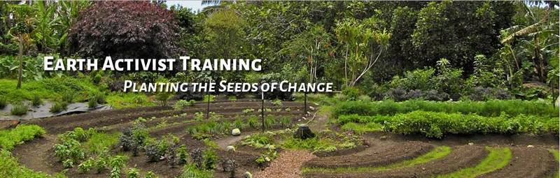 Permaculture et activisme: Week-end animé par Starhawk et Alfred Decker