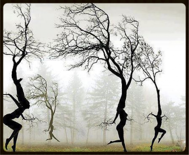 Conférence de Starhawk sur l’Ecoféminisme