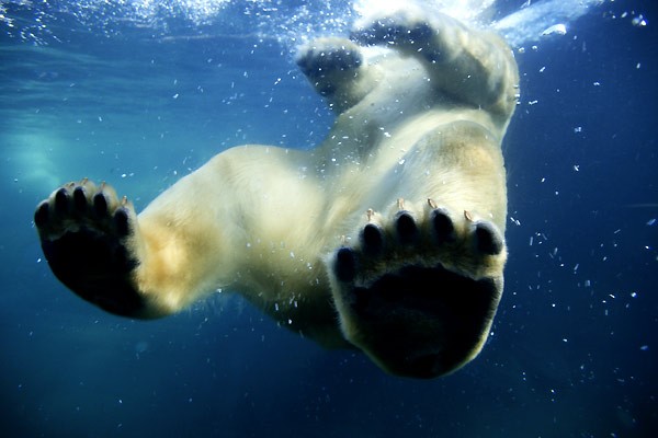 Soirée Sakadoh – UN JOUR SUR TERRE