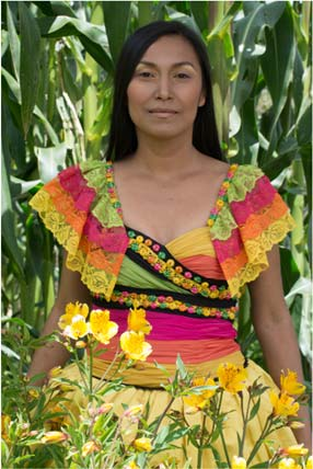 Nuits Boréales – Colombia Andina