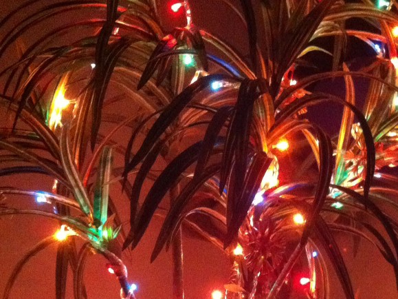 Nuit Boréale – Fête de Nouvel An