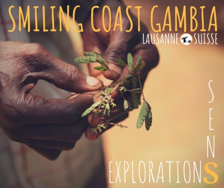 Exposition – Association Smiling Coast Gambia « Explorations des sens »