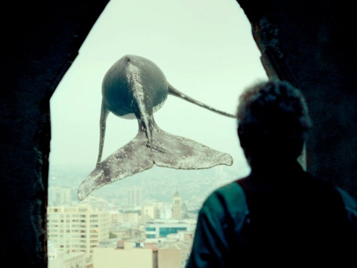 Visions du Nouveau Monde – Los Versos del Olvido