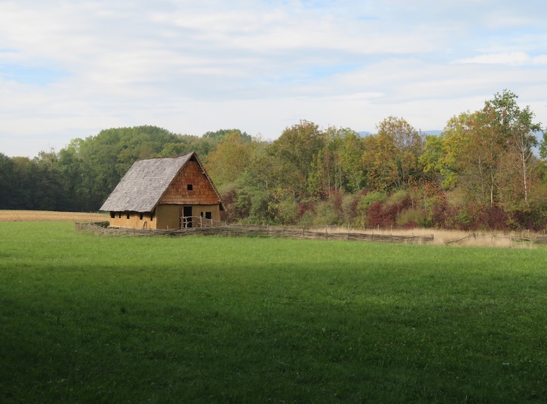 Camp » Vivre la préhistoire ».