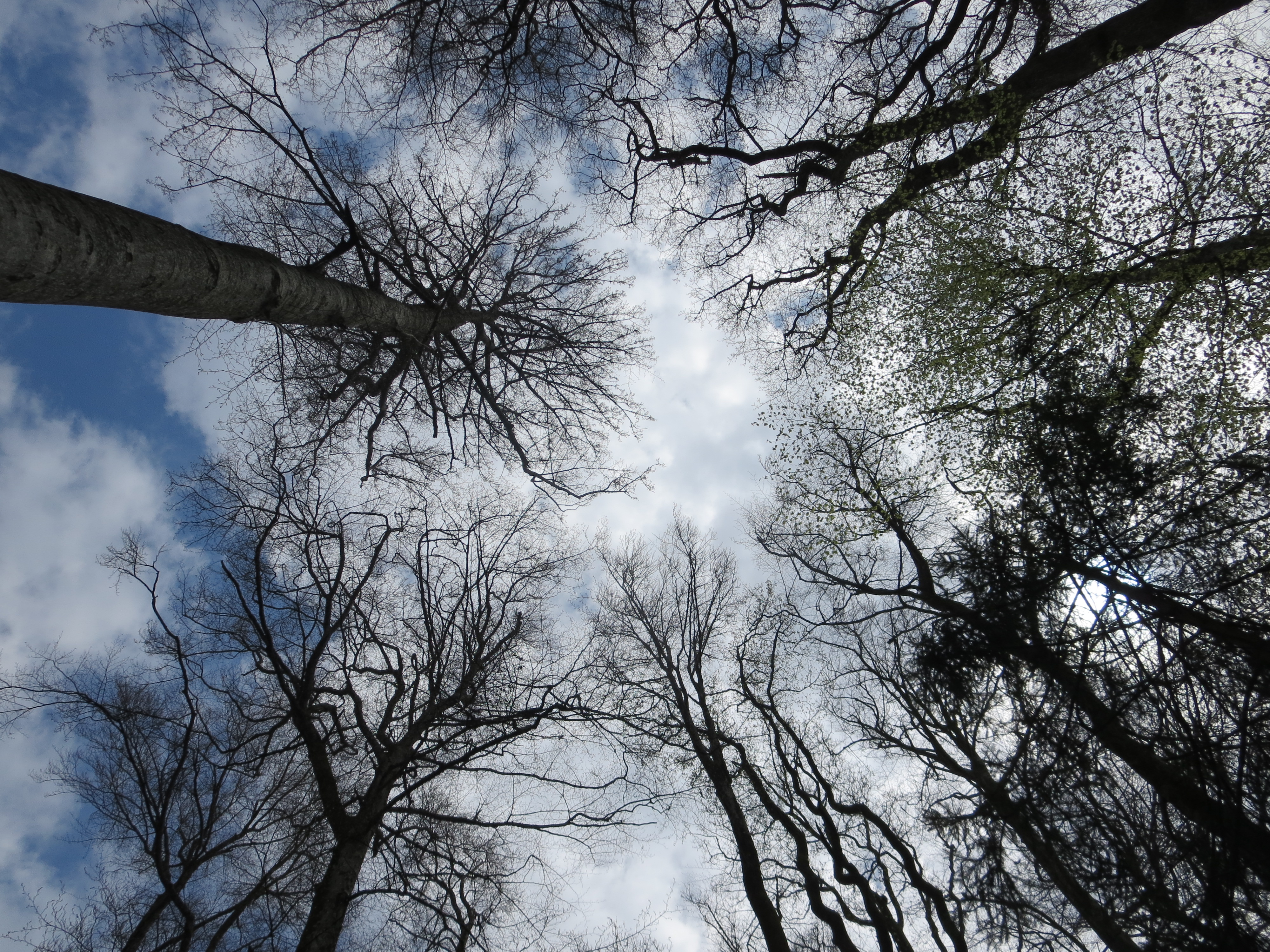 Centre aéré au refuge de Sauvabelin – ANNULÉ