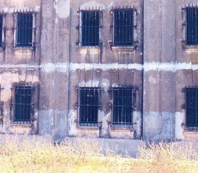 Sortie du livre – Ni Fous, Ni Morts