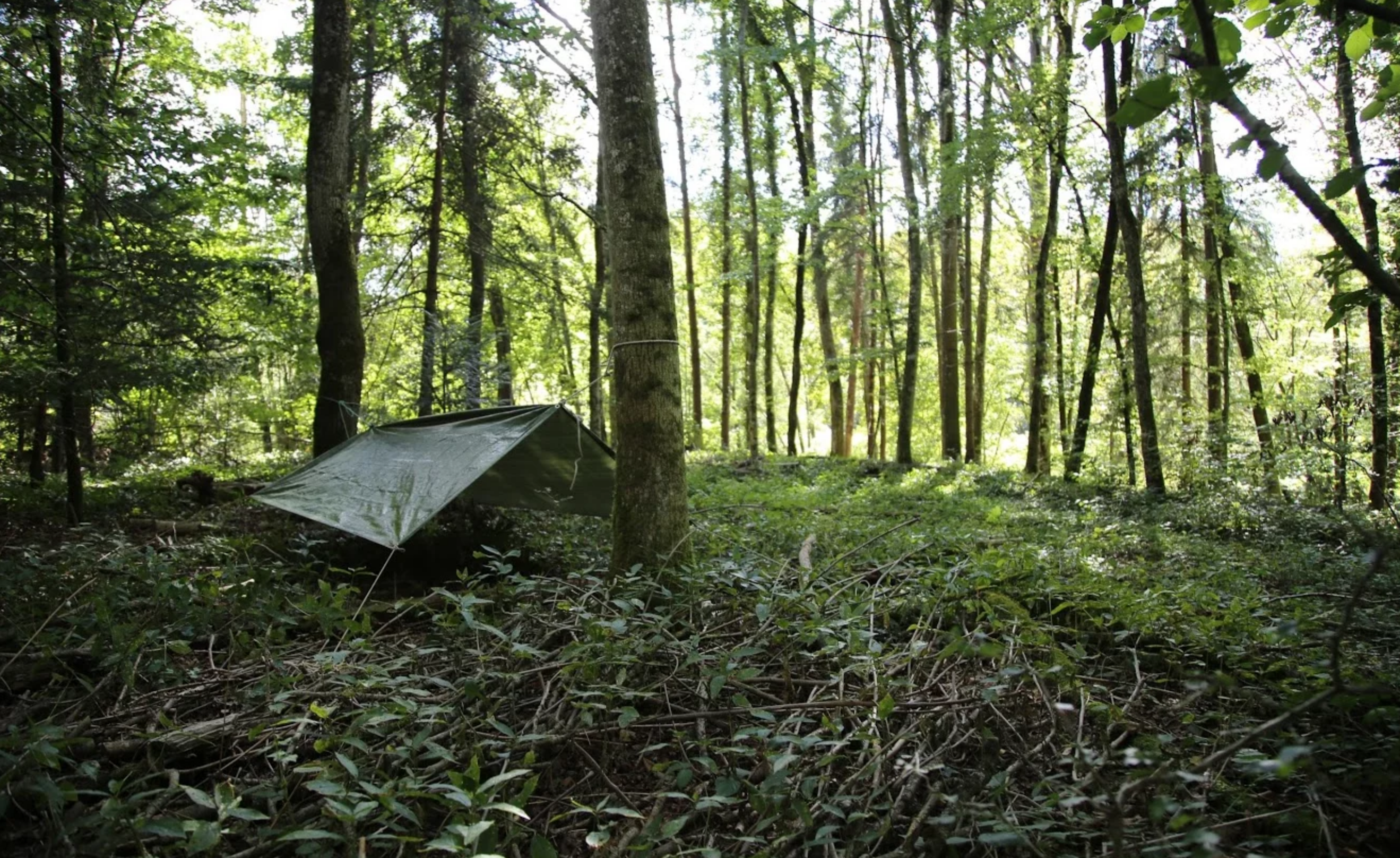 48 heures into the wild – ANNULE