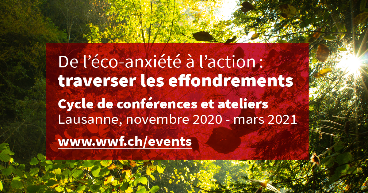 De l’éco-anxiété à l’action : traverser les effondrements