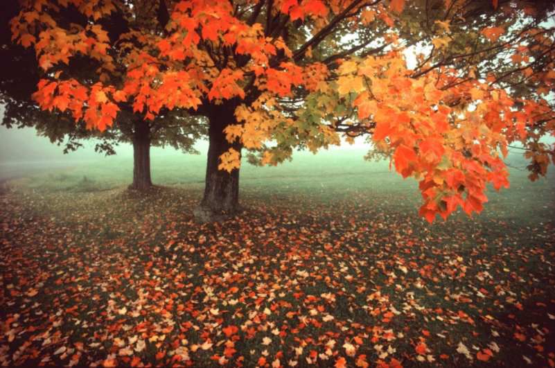 Changement d’horaires – vacances d’Automne