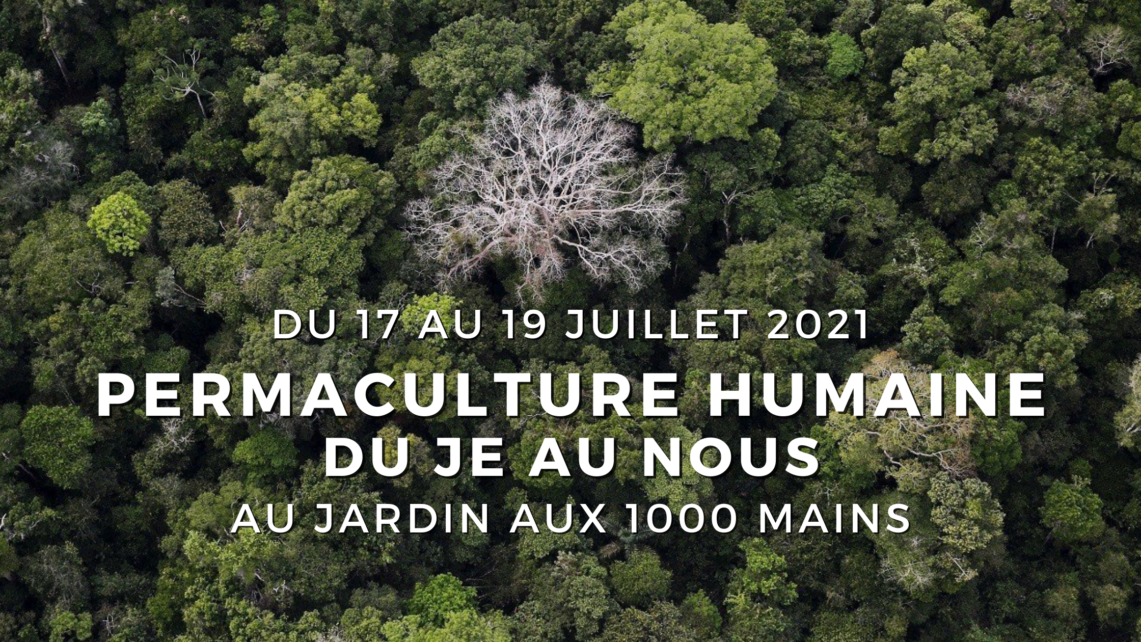 Permaculture humaine – du Je au Nous