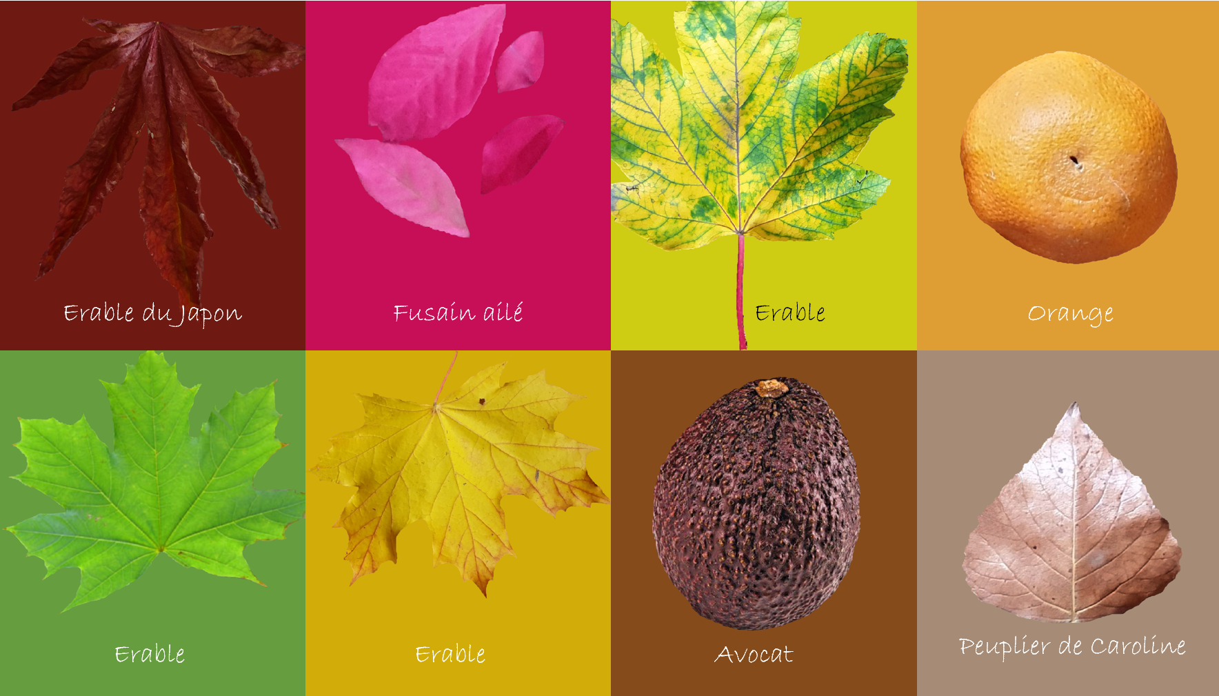 Cours – Création de tableaux en matériaux naturels