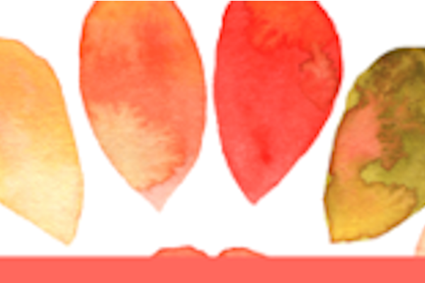 Groupe de pratique de Pleine Conscience