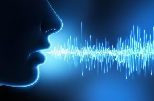 Atelier pose de voix