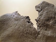 Initiation à la fabrication de « terre papier ».